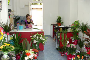 ALINA FLEURS