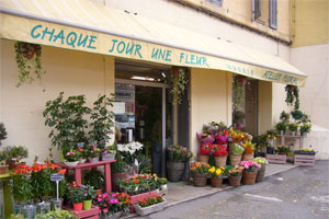 CHAQUE JOUR UNE FLEUR