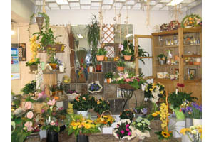 LA MAGIE DES FLEURS