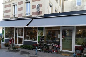 AUJOURD HUI UNE FLEUR