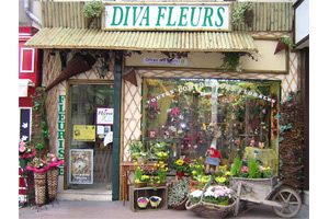 DIVA FLEURS