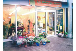 LA VALSE DES FLEURS