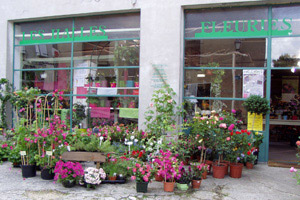AUX HALLES FLEURIES