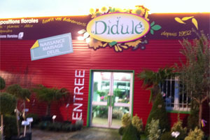 SARL DIDULE