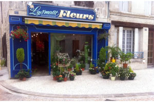LYS MATIT FLEURS