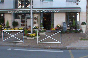 LES FLEURS DE LA PIERRIERE