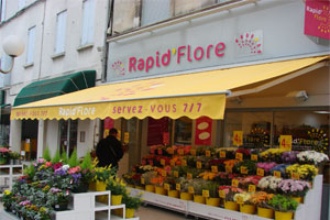ANTHEMIS RAPID FLORE