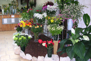 MONTE CARLO FLEURS 