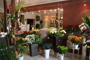 SARL LES FLEURS D ISIS