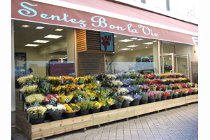 FLEURS PASSION
