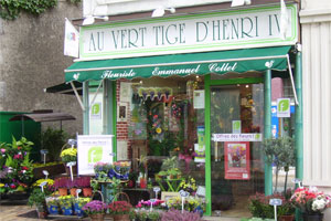 AU VERT TIGE D HENRI IV