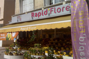 SARL SIFLEURS