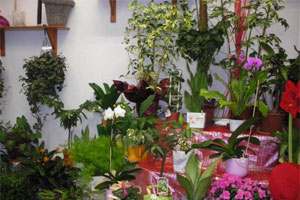 BOUQUET BOUTIQUE