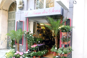 L ARUM DES SENS