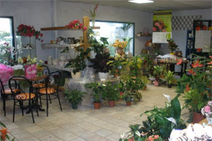PIERI HORTICULTEURS