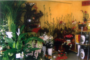 LE JARDIN DE MANON