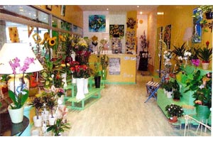 TOURNESOLS