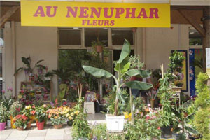 AU NENUPHAR