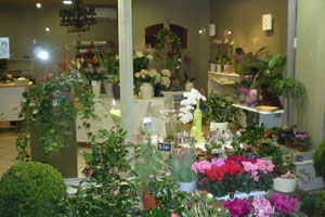 HISTOIRES DE FLEURS