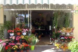 FLEURS DE LA VALLEE      