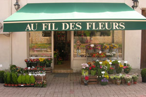 AU FIL DES FLEURS