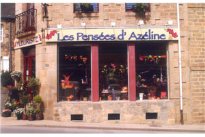LES PENSEES D AZELINE
