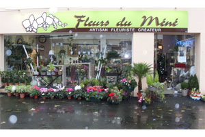 FLEURS DU MENE