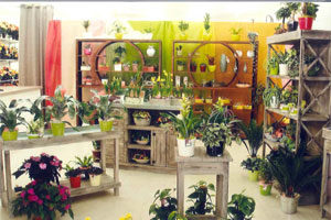 LE JARDIN DE BOISHARDY