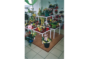 FLEURS DE REVE