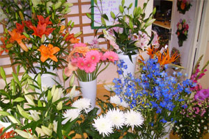 LE COIN FLEURI
