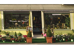 PARADIS DES FLEURS