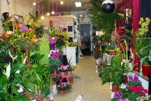 ARC EN FLEURS