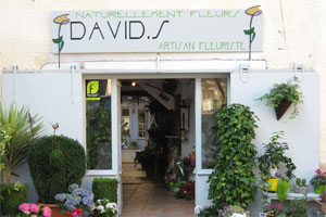NATURELLEMENT FLEURS DAVID.S