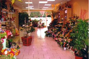 ESPACE HARMONIE