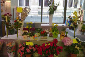 ACEANE FLEURS