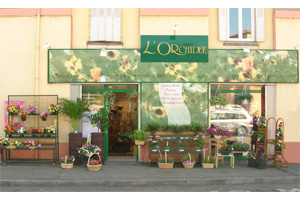 L ORCHIDEE