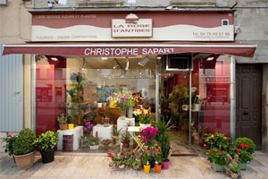 LA ROSE D ANTIBES