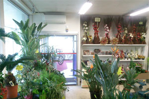 ESPACE FLEURS