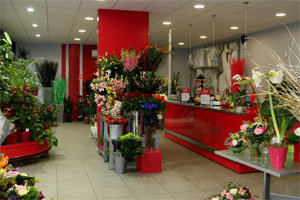 PLUS DE FLEURS PLUS DE BONHEUR