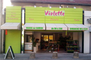 VIOLETTE