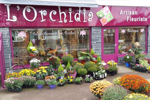 L ORCHIDIA