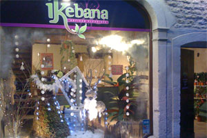 IKEBANA            