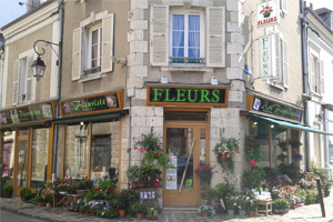 AQUARELLE FLEURS
