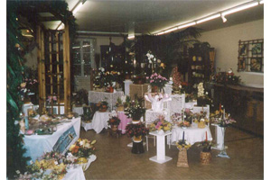 FLEUR DE HAVANE