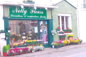 NELLY FLEURS