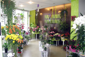 VEGETAL AND CO