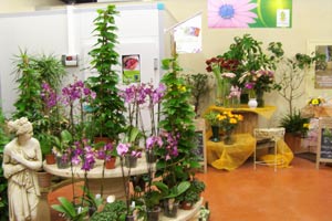LA JARDINERIE LES BUISSONNETS