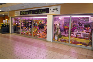 AMBIANCE DE FLEURS 