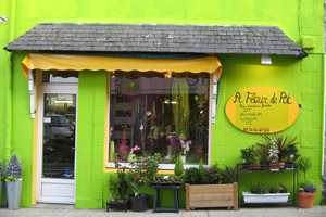 A FLEUR DE POT