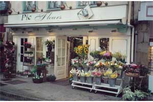 PIC-FLEURS